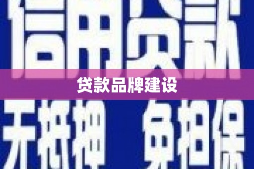 大观贷款品牌建设