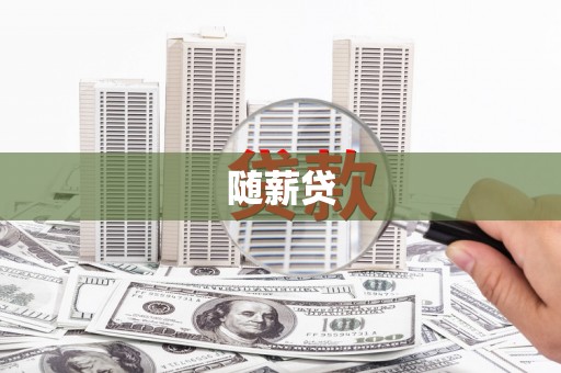 大观随薪贷