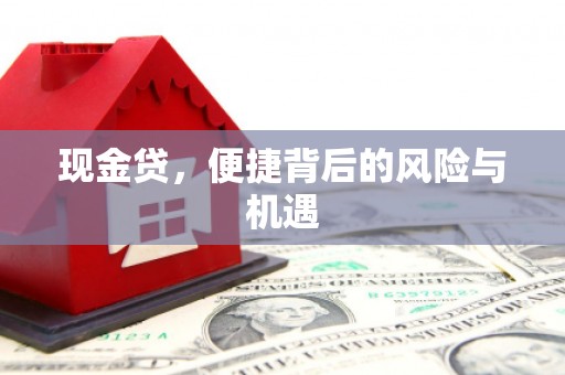 大观现金贷，便捷背后的风险与机遇