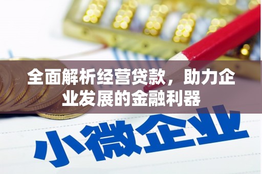 大观全面解析经营贷款，助力企业发展的金融利器