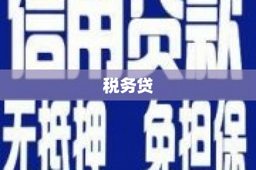 大观税务贷