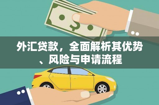 大观外汇贷款，全面解析其优势、风险与申请流程