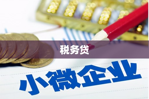 大观税务贷