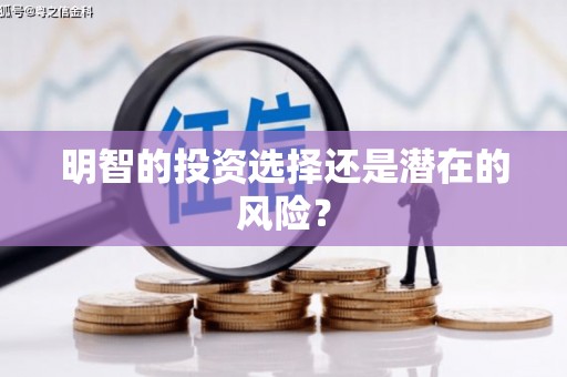 大观明智的投资选择还是潜在的风险？