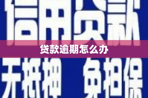 大观贷款逾期怎么办