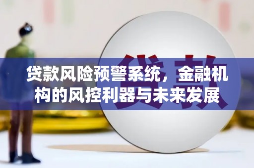 大观贷款风险预警系统，金融机构的风控利器与未来发展