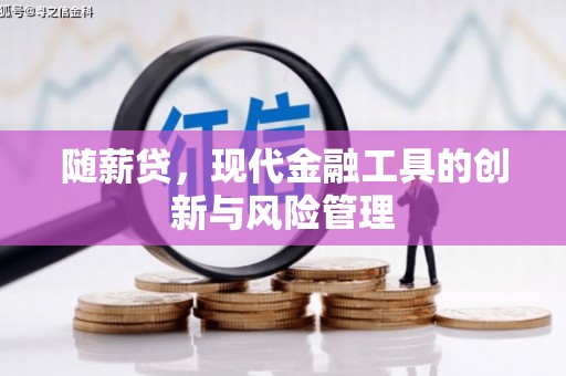 大观随薪贷，现代金融工具的创新与风险管理
