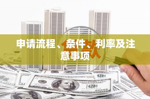 大观申请流程、条件、利率及注意事项