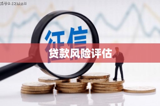 大观贷款风险评估