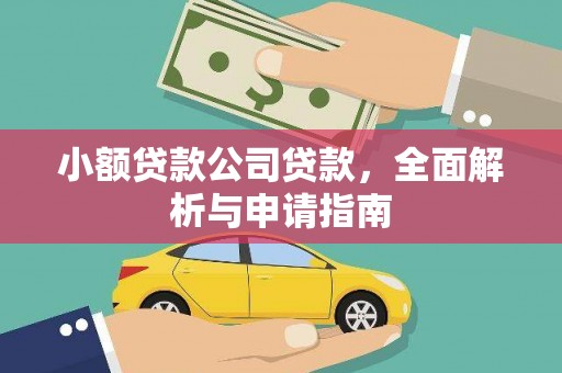 大观小额贷款公司贷款，全面解析与申请指南
