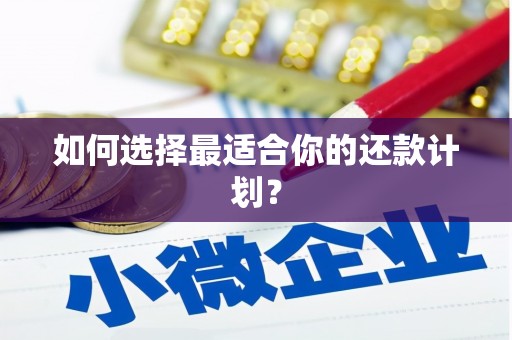 大观如何选择最适合你的还款计划？