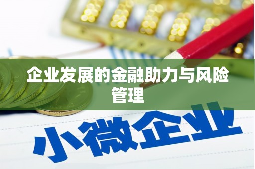 大观企业发展的金融助力与风险管理