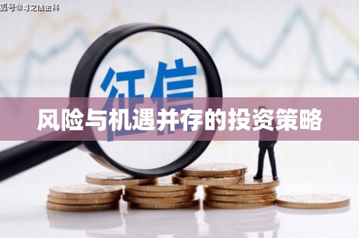 大观风险与机遇并存的投资策略