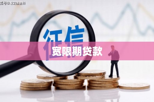 大观宽限期贷款