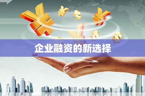 大观企业融资的新选择