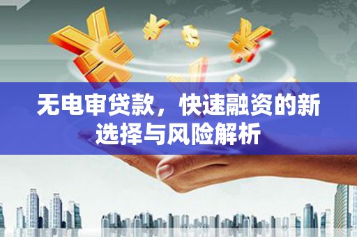大观无电审贷款，快速融资的新选择与风险解析
