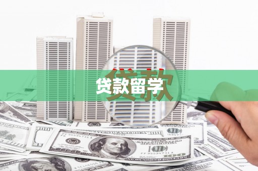 大观贷款留学