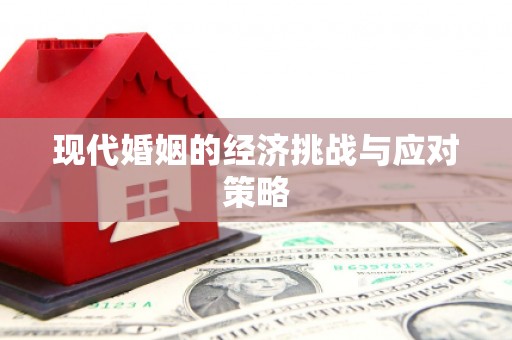 大观现代婚姻的经济挑战与应对策略
