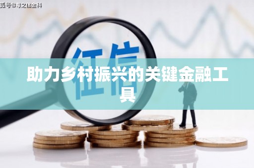 大观助力乡村振兴的关键金融工具