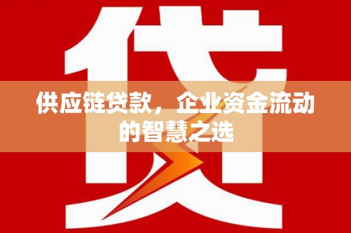大观供应链贷款，企业资金流动的智慧之选