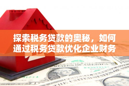 大观探索税务贷款的奥秘，如何通过税务贷款优化企业财务