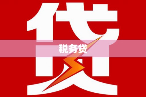 大观税务贷