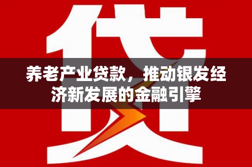 大观养老产业贷款，推动银发经济新发展的金融引擎
