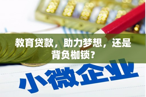 大观教育贷款，助力梦想，还是背负枷锁？