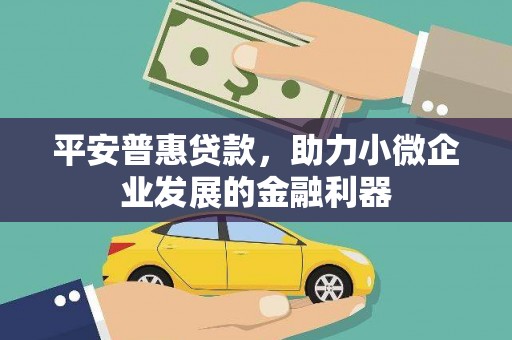 大观平安普惠贷款，助力小微企业发展的金融利器