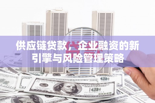 大观供应链贷款，企业融资的新引擎与风险管理策略