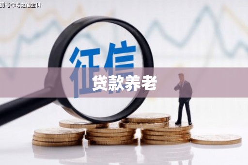 大观贷款养老
