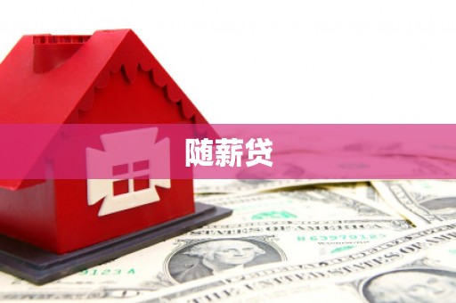 大观随薪贷