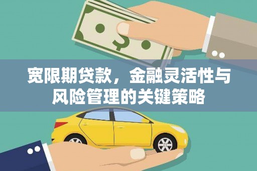 大观宽限期贷款，金融灵活性与风险管理的关键策略