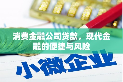 大观消费金融公司贷款，现代金融的便捷与风险