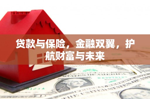大观贷款与保险，金融双翼，护航财富与未来
