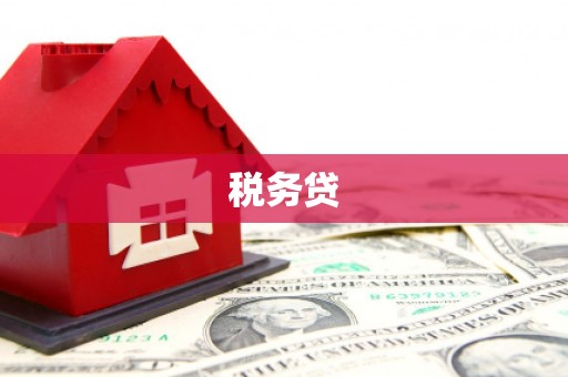 大观税务贷