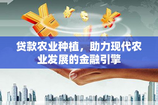 大观贷款农业种植，助力现代农业发展的金融引擎
