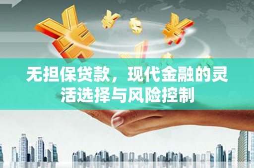 大观无担保贷款，现代金融的灵活选择与风险控制