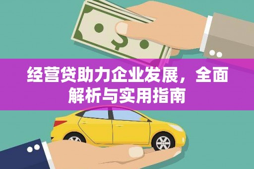 大观经营贷助力企业发展，全面解析与实用指南