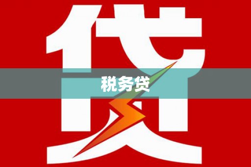 大观税务贷