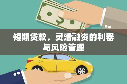 大观短期贷款，灵活融资的利器与风险管理
