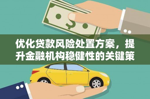 大观优化贷款风险处置方案，提升金融机构稳健性的关键策略