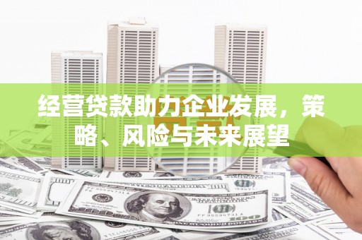 大观经营贷款助力企业发展，策略、风险与未来展望