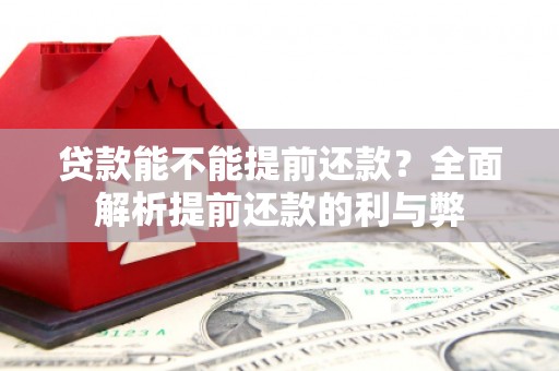大观贷款能不能提前还款？全面解析提前还款的利与弊
