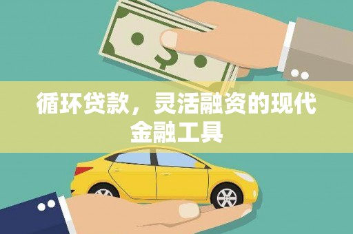 大观循环贷款，灵活融资的现代金融工具