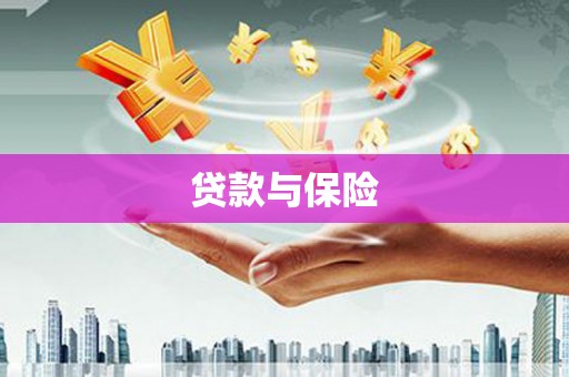 大观贷款与保险