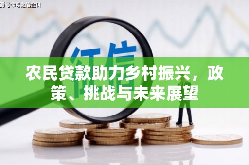 大观农民贷款助力乡村振兴，政策、挑战与未来展望