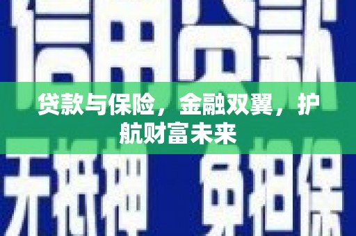 大观贷款与保险，金融双翼，护航财富未来