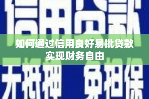 大观如何通过信用良好易批贷款实现财务自由