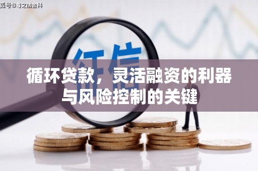大观循环贷款，灵活融资的利器与风险控制的关键